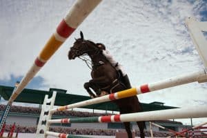 Lire la suite à propos de l’article Courses de chevaux : comprendre le tiercé, le quinté et les paris en ligne