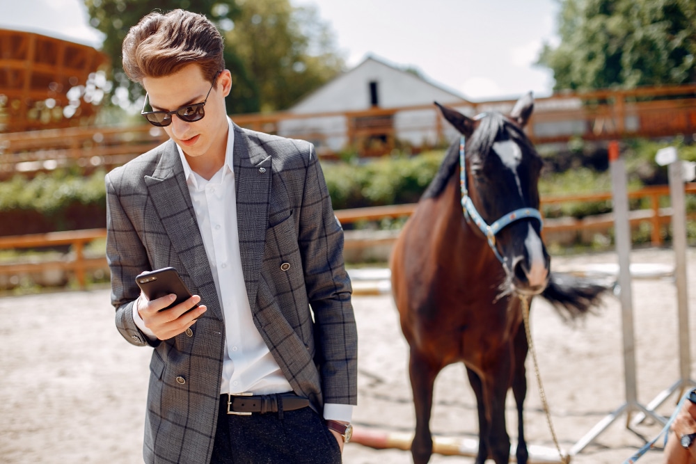 comptabilité des indépendants de l'équitation